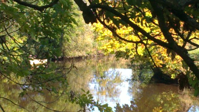 Herbst im Sietland